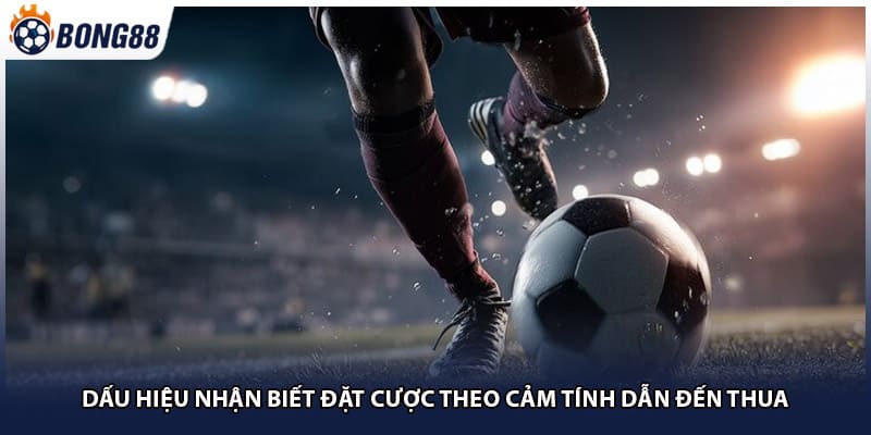 Dấu hiệu nhận biết đặt cược theo cảm tính dẫn đến thua