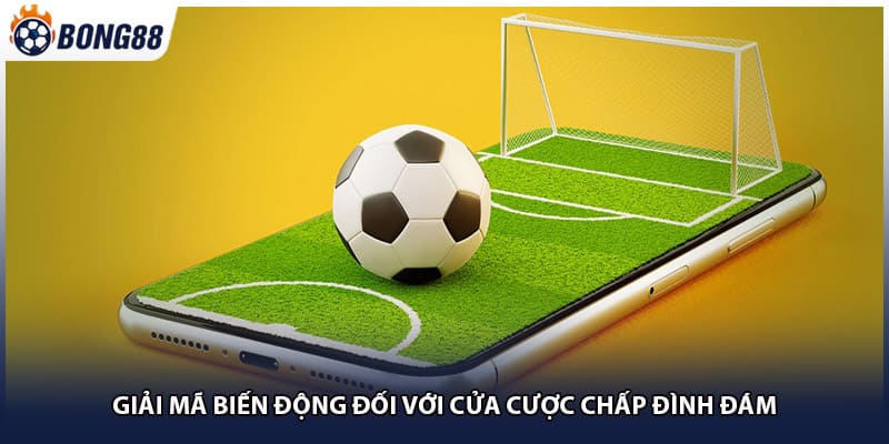 Giải mã biến động đối với cửa cược chấp đình đám